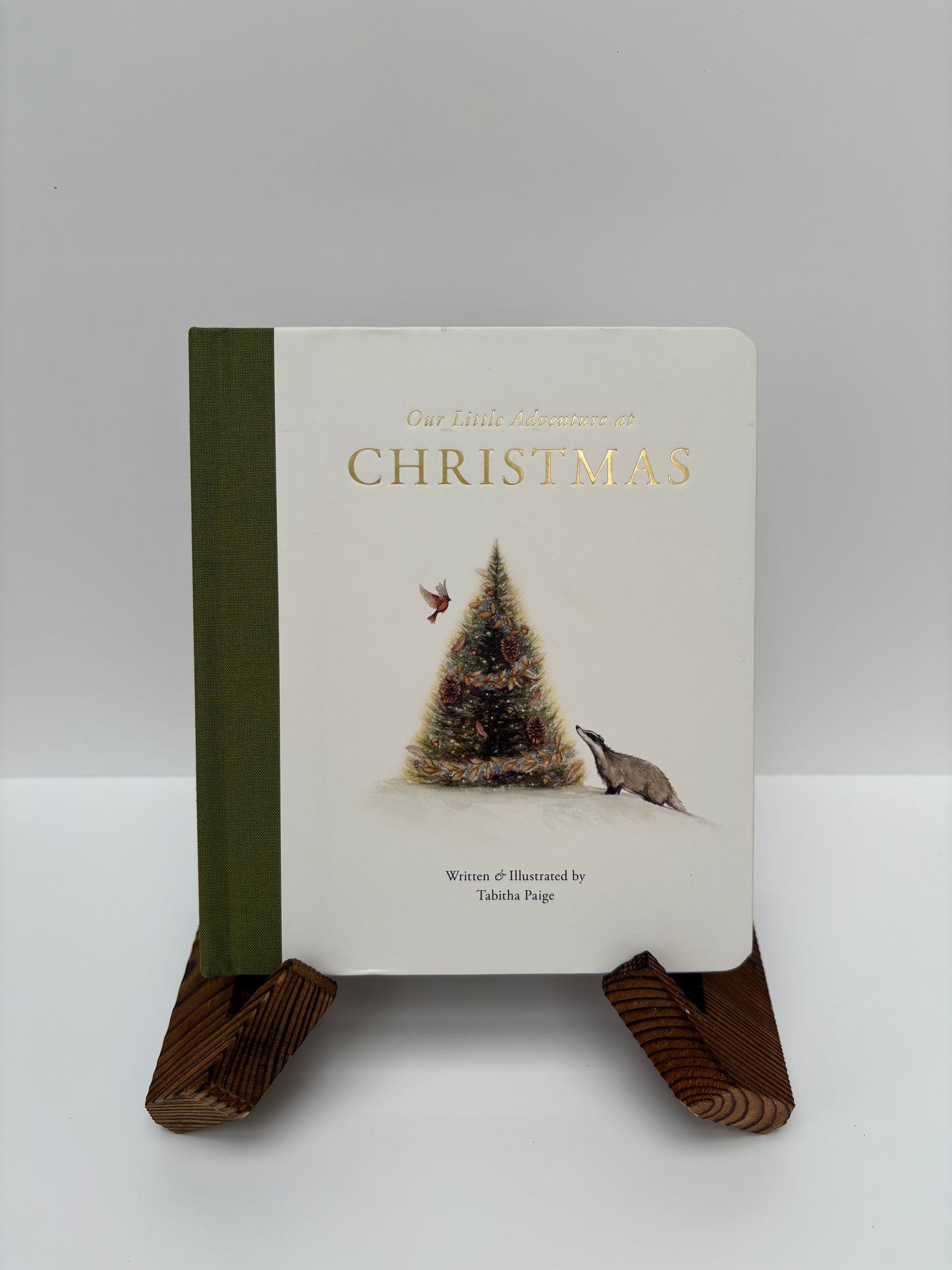 Christmas Adventure Book